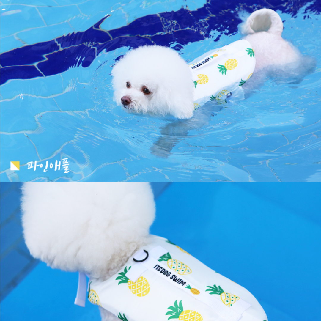 Summer Fruit Pet Life Jacket