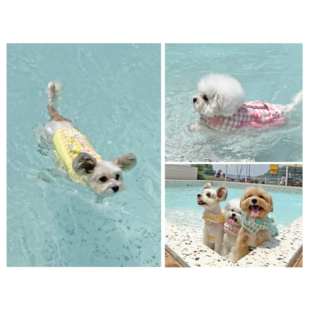 Lollipop Dog Life Jacket