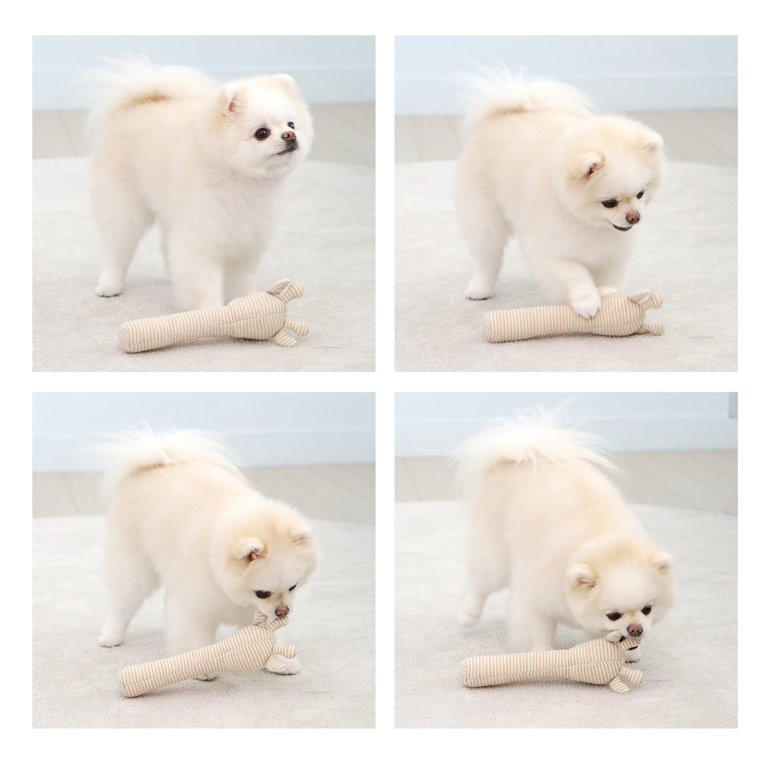 Organic 3-stage Sound Stick Pet Toy
