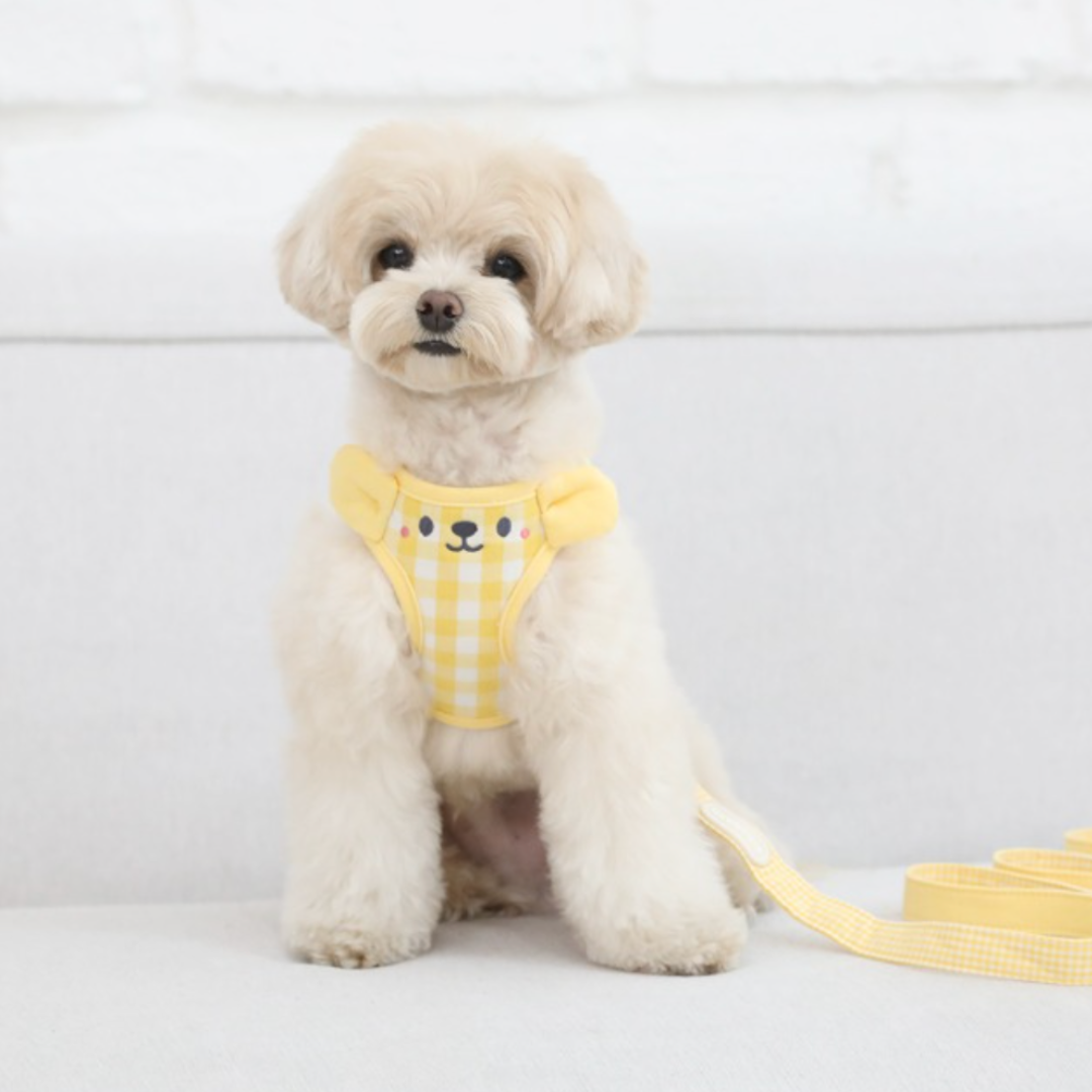 Smiley Teddy Bear Harness