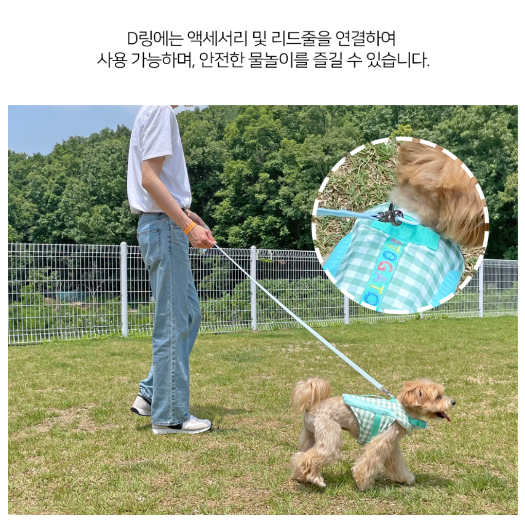 Lollipop Dog Life Jacket