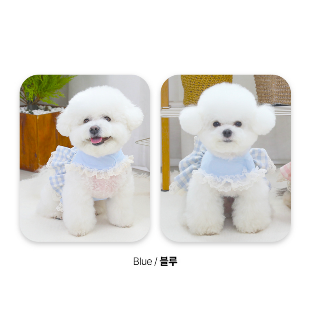 Checked lace harness