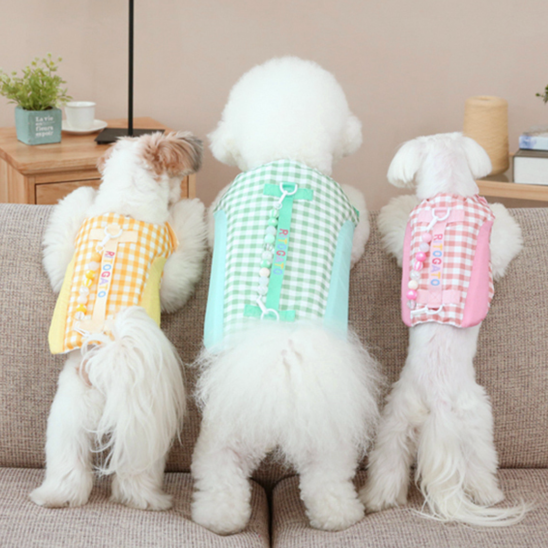 Lollipop Dog Life Jacket