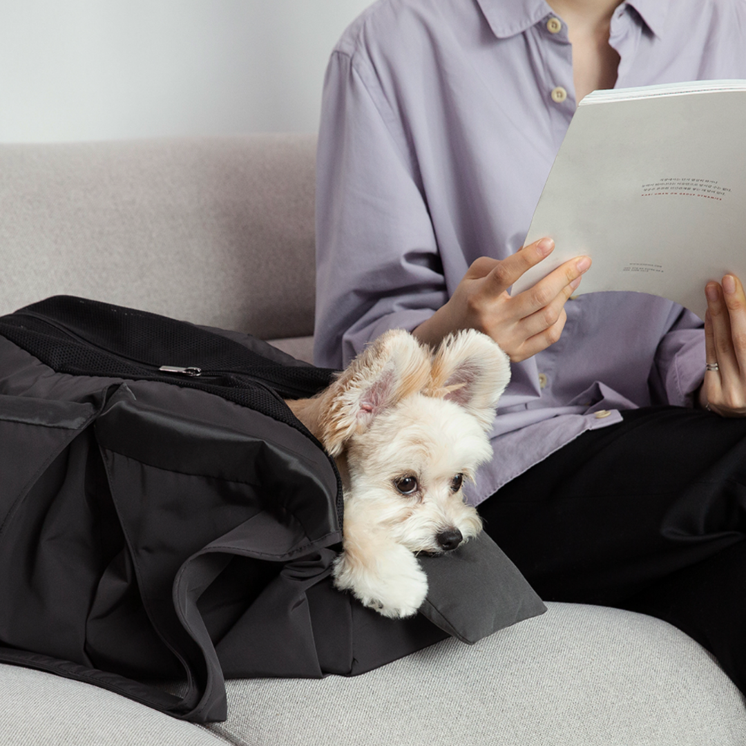 Multiple carrying options.ᐟ.ᐟ Fashion pet hiding bag