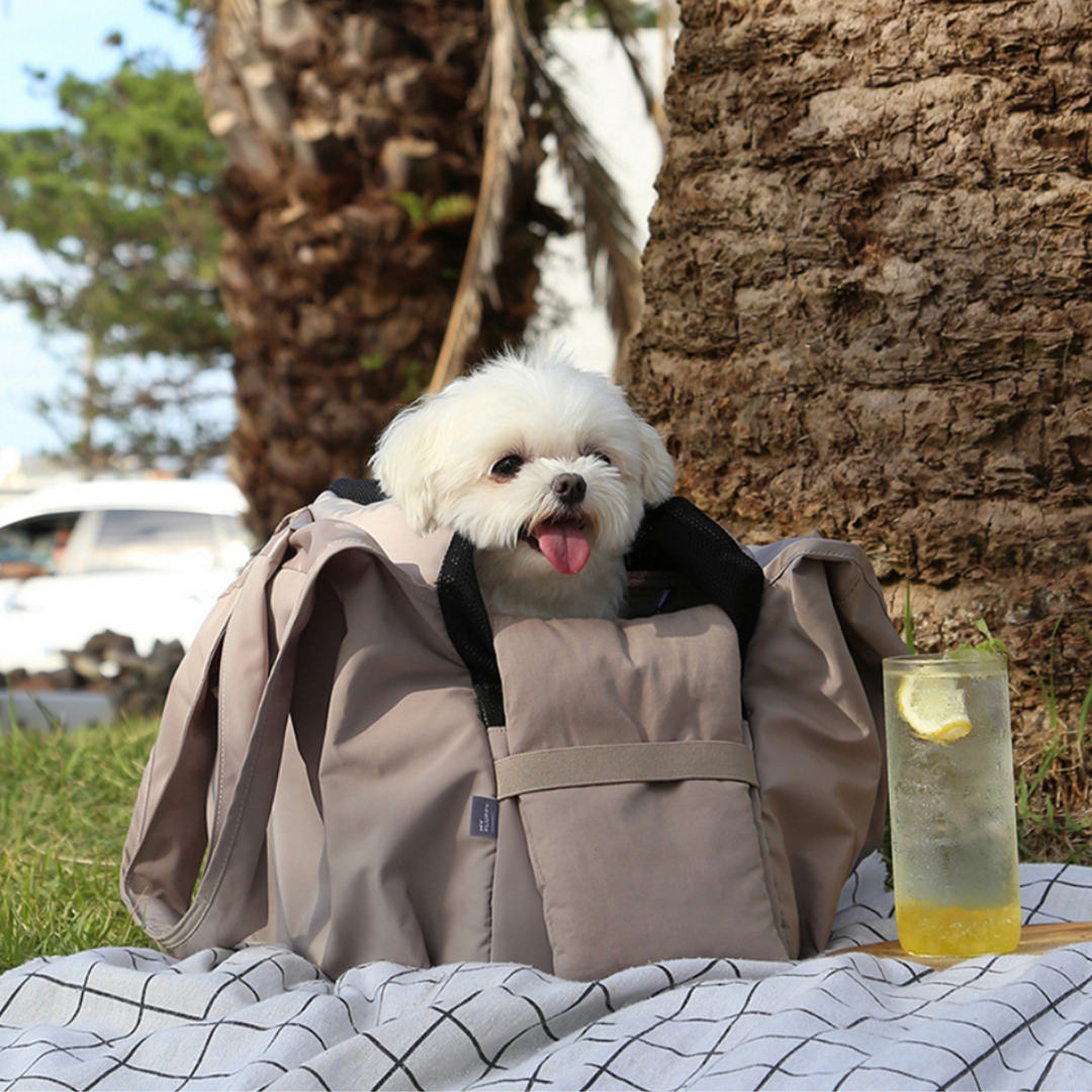 Multiple carrying options.ᐟ.ᐟ Fashion pet hiding bag