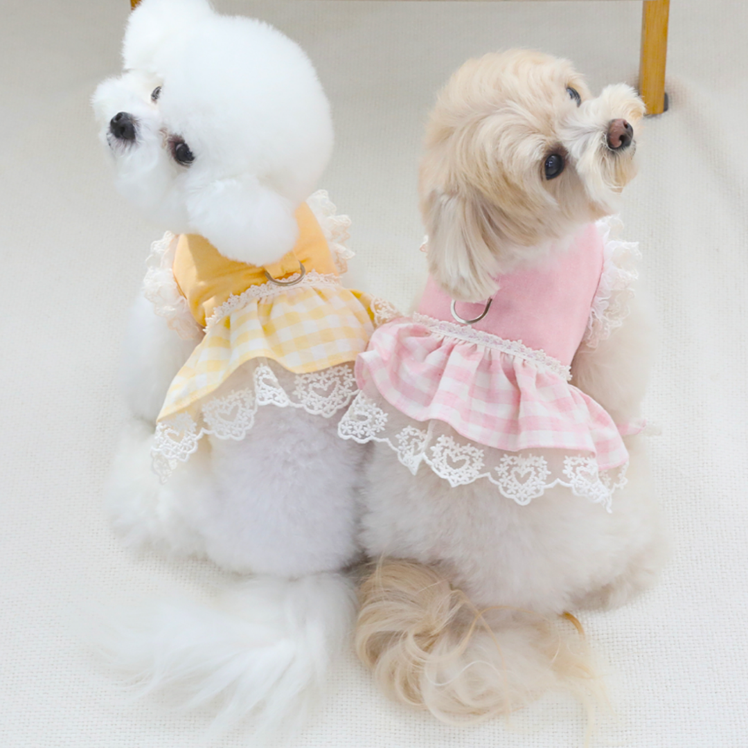 Checked lace harness