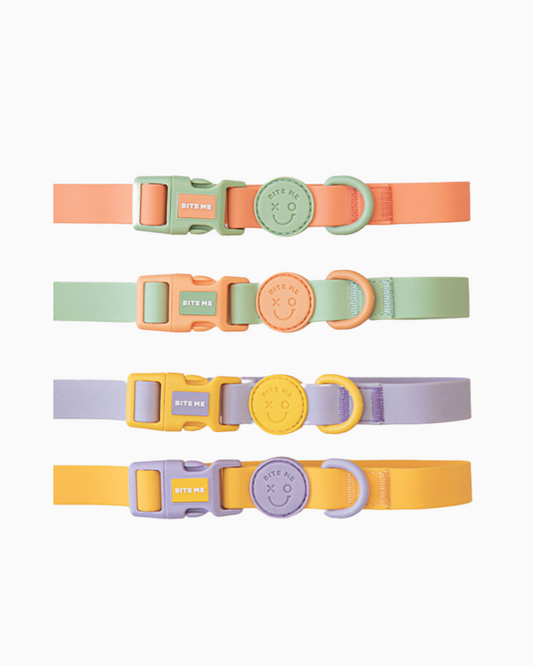 Free your hand.ᐟ.ᐟ Macaron Waterproof Leash