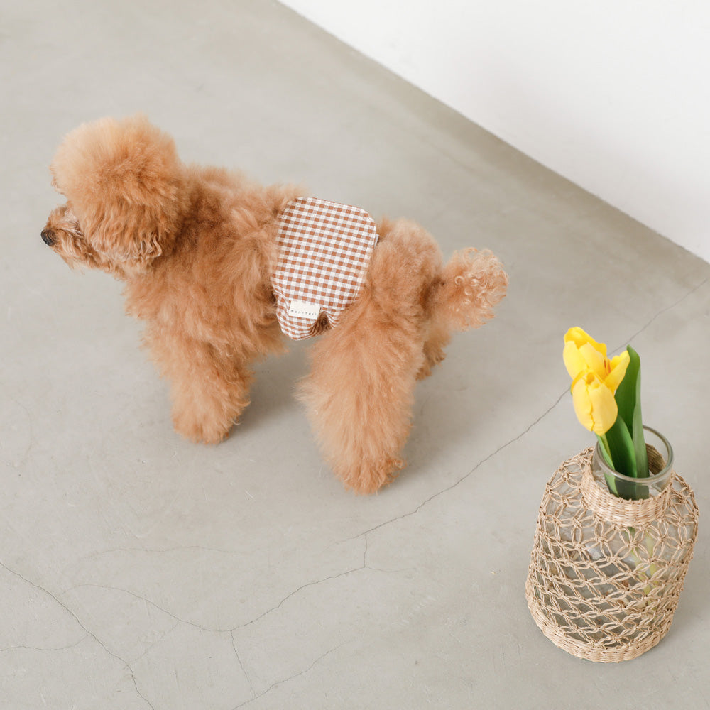 Check pattern Sanitary Pants (boy)