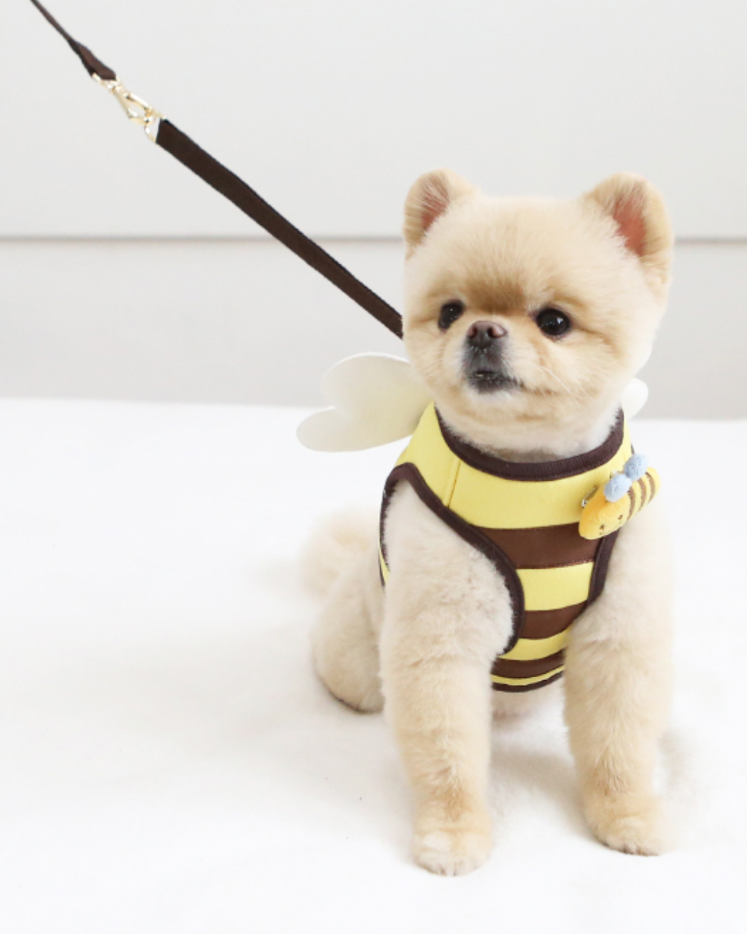 Honey Bee Harness