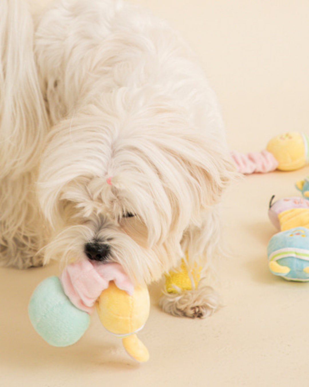 Sporty Stretchy Pet Toy - Rabbit & Bear