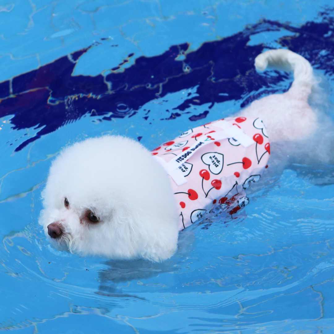 Summer Fruit Pet Life Jacket