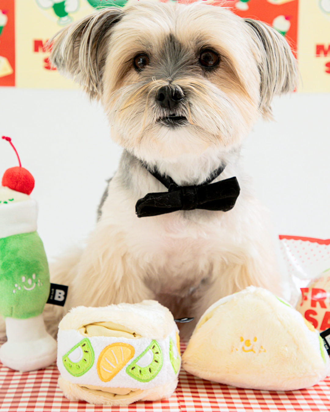 Fruit Sandwich Nosework Toy