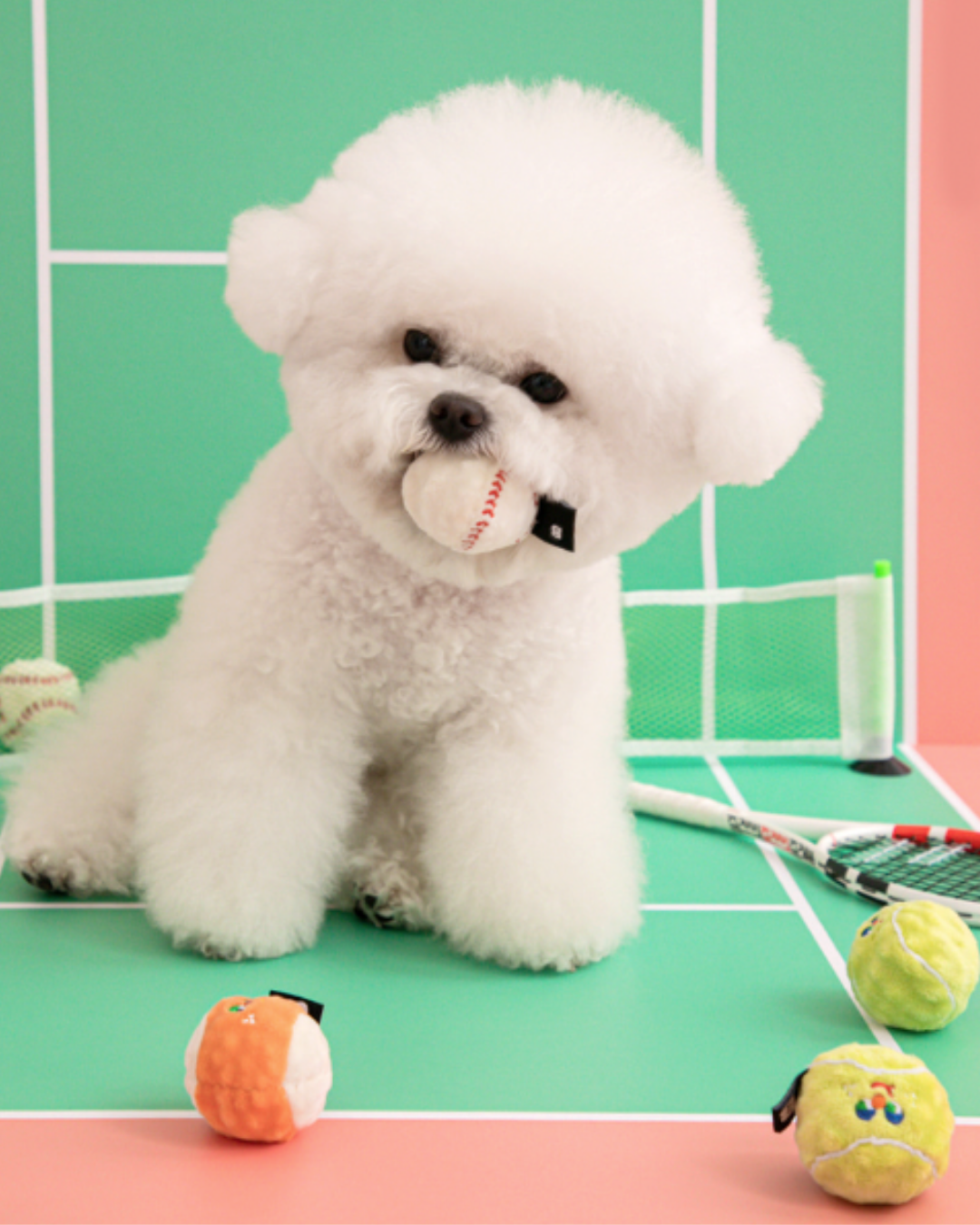 Pet Bouncing Balls (3-Pack)