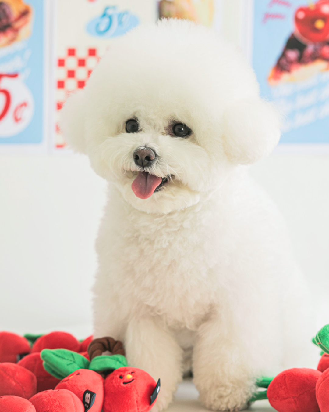 Cherry Rope Pet Toy