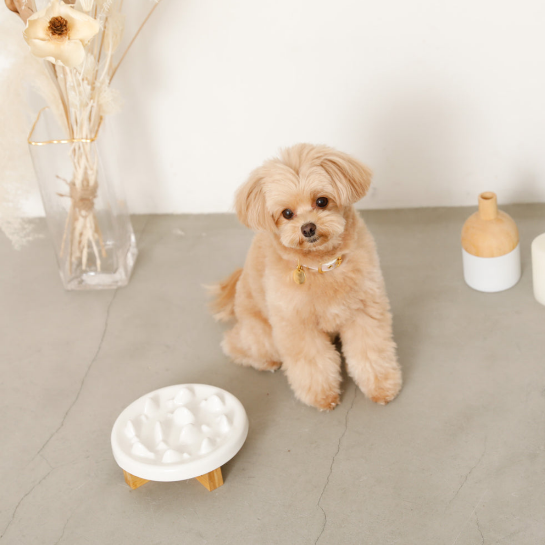 Cloud Slow Food Bowl (with Wooden Stand)