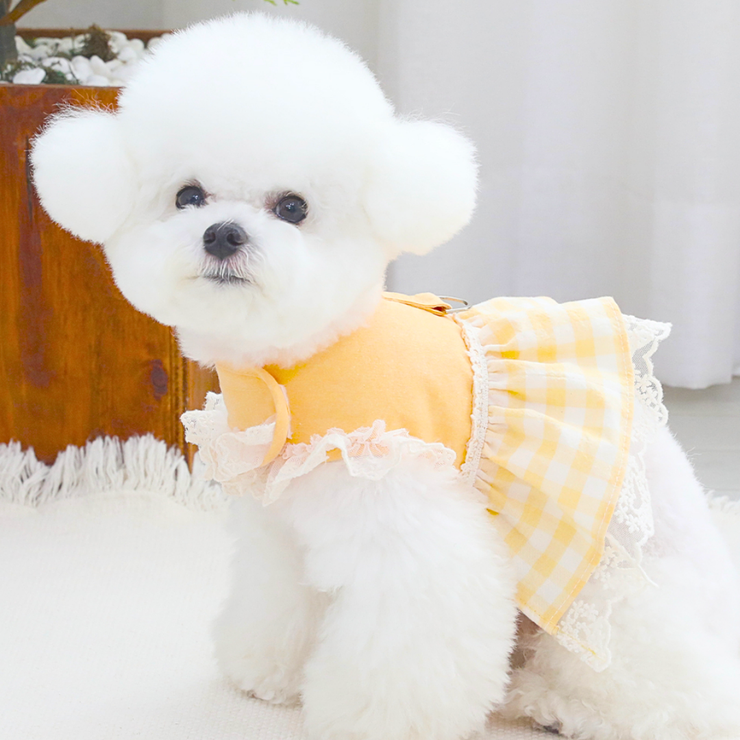 Checked lace harness
