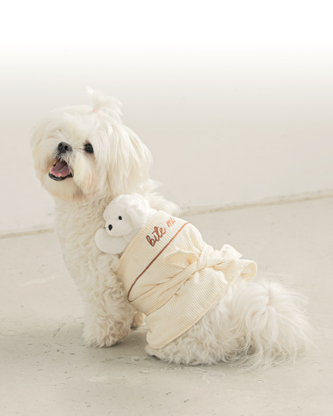 Babysitter Nose Work Pet Toy