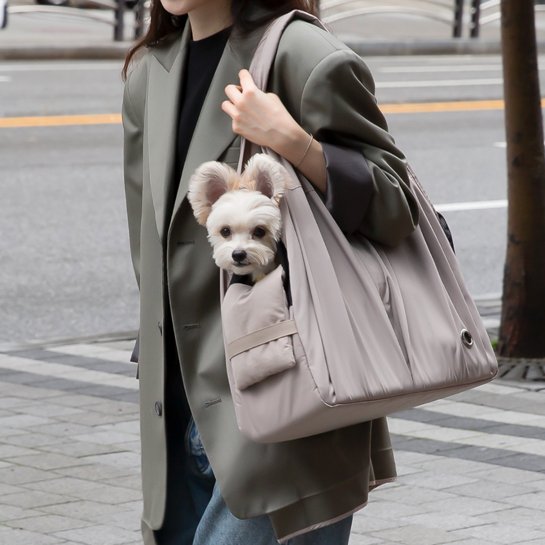 Multiple carrying options.ᐟ.ᐟ Fashion pet hiding bag