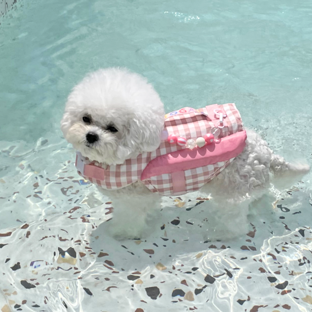 Lollipop Dog Life Jacket