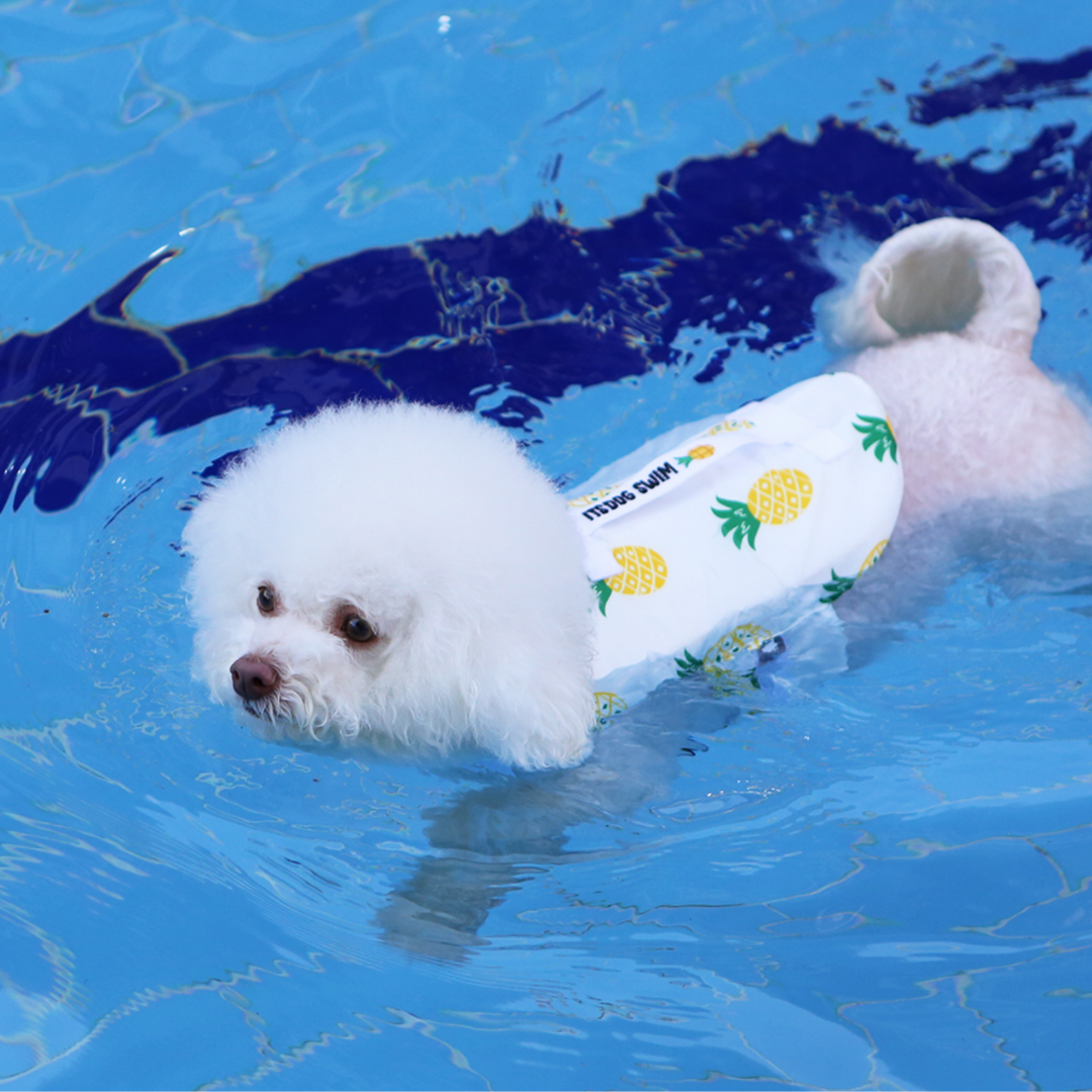 Summer Fruit Pet Life Jacket