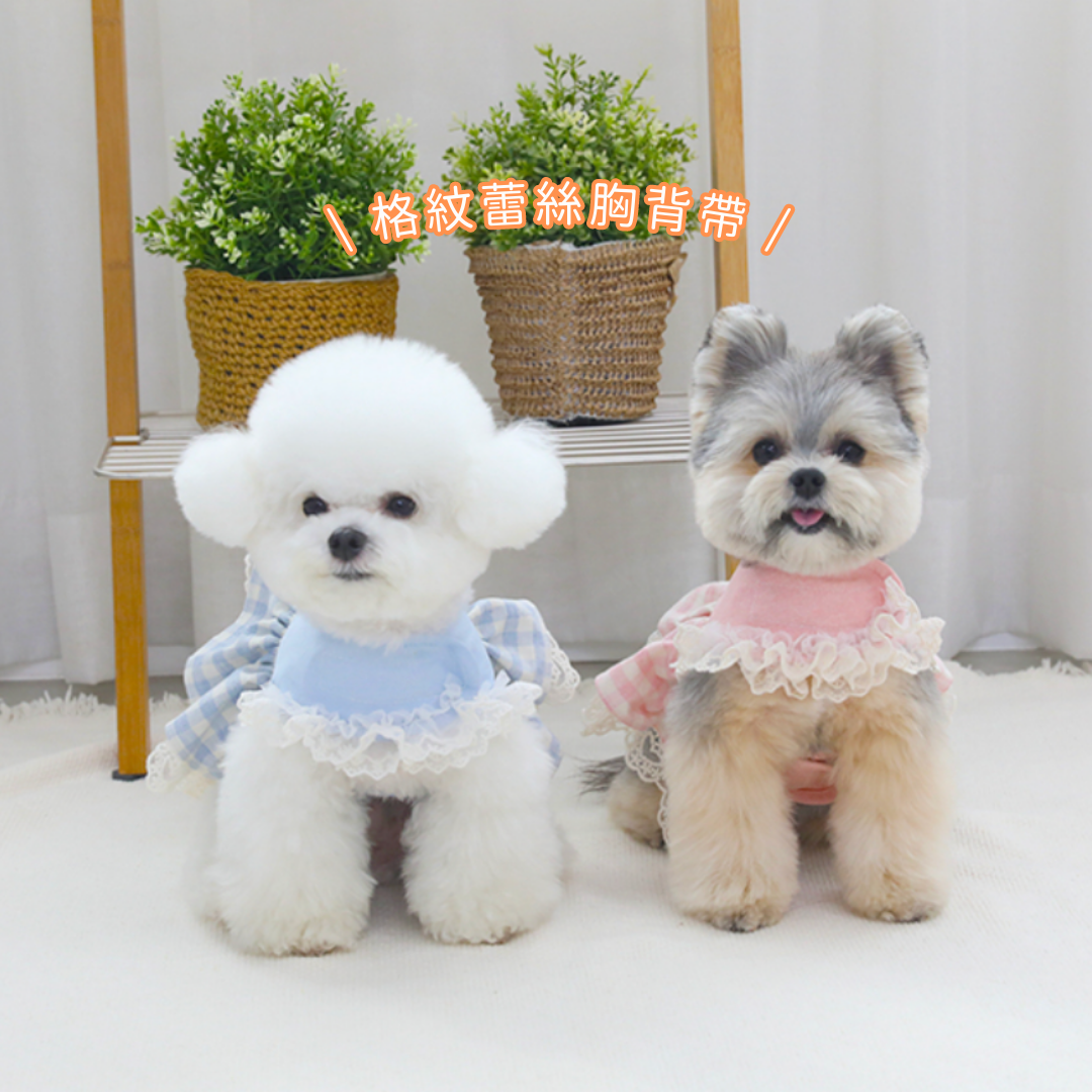 Checked lace harness
