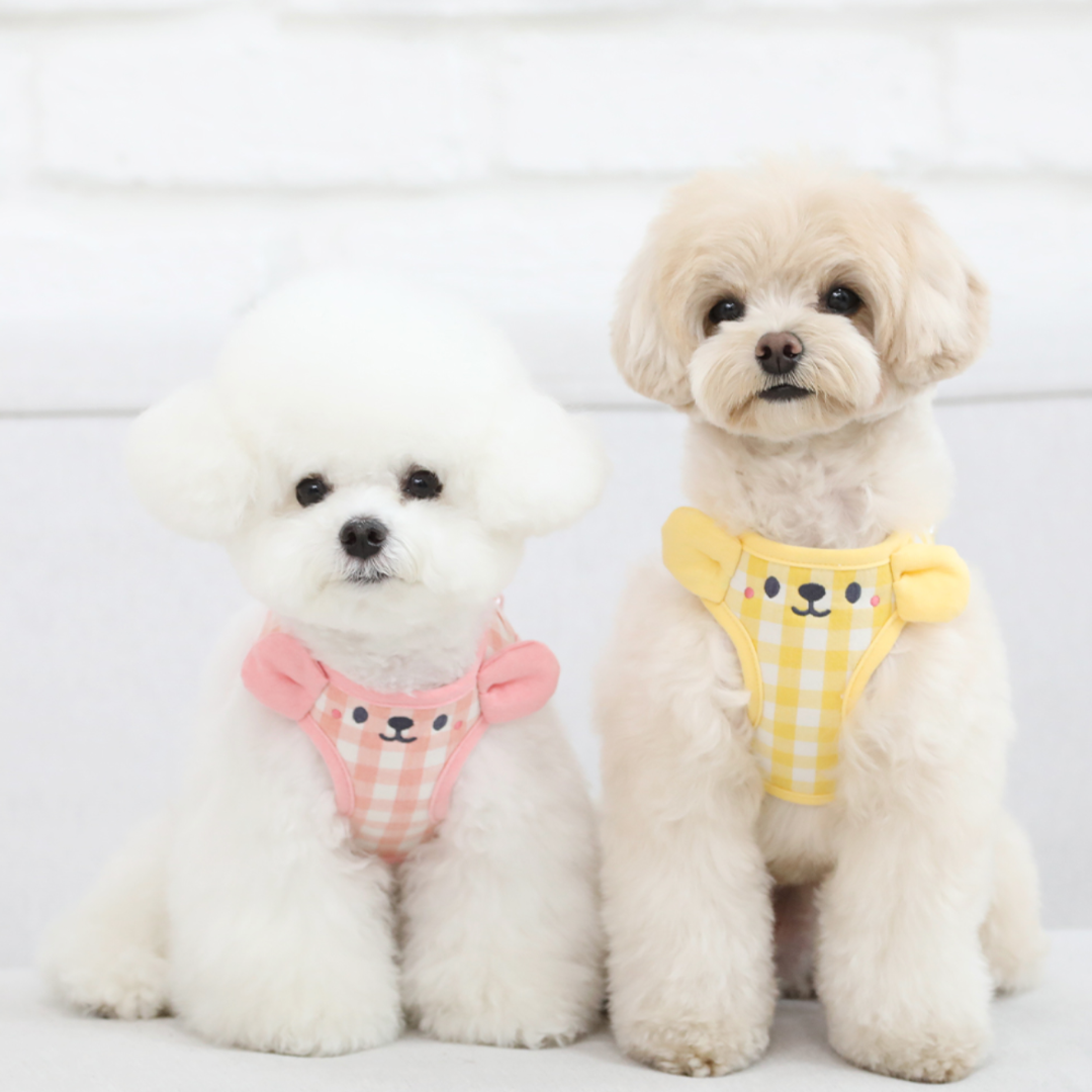 Smiley Teddy Bear Harness