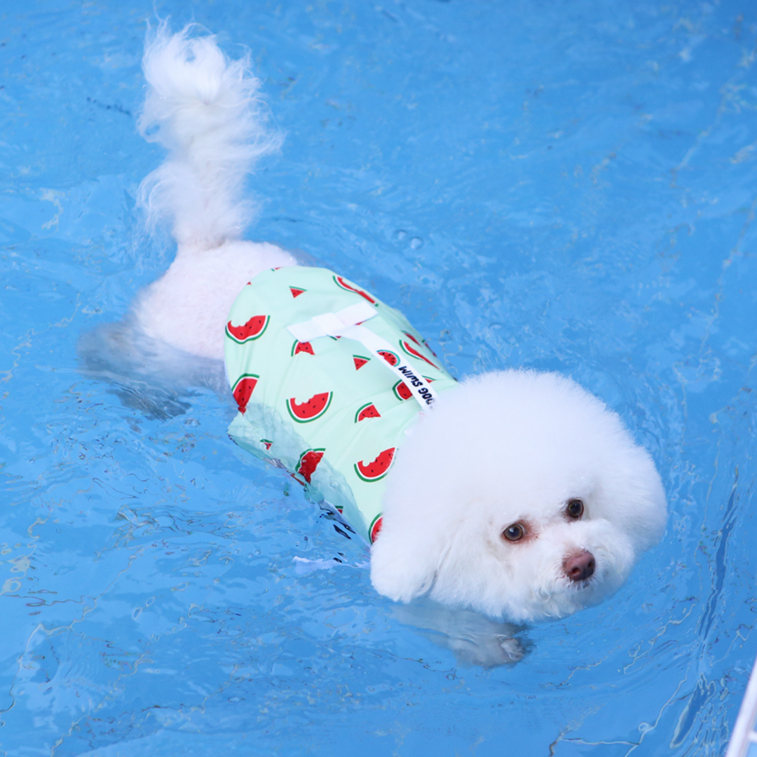 Summer Fruit Pet Life Jacket