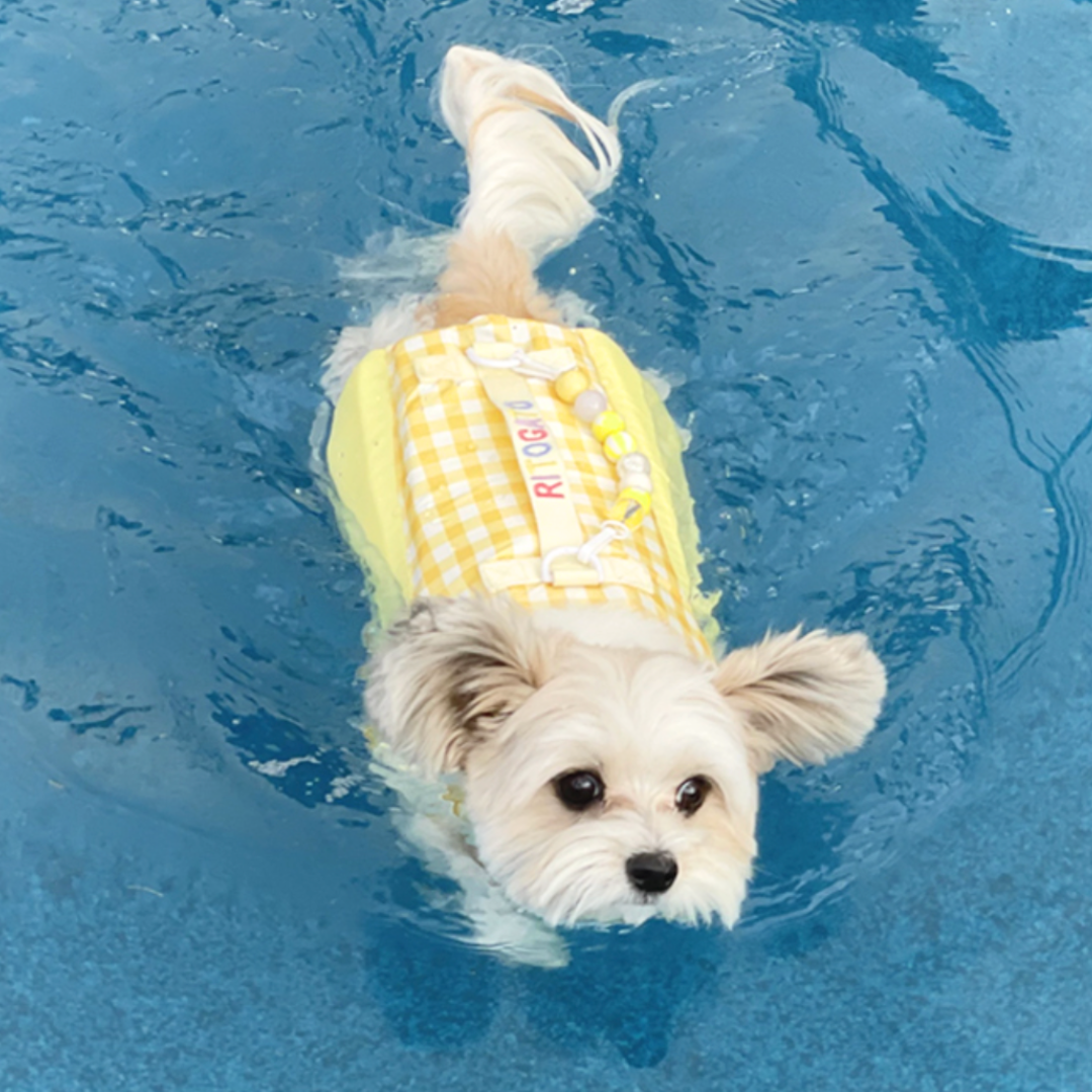 Lollipop Dog Life Jacket