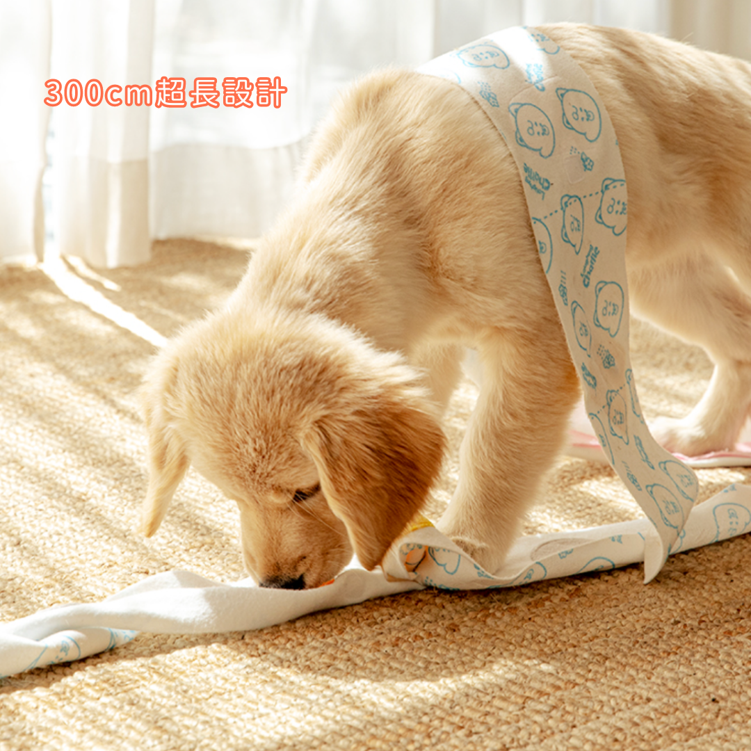 Toilet Paper Nose Work Pet Toy