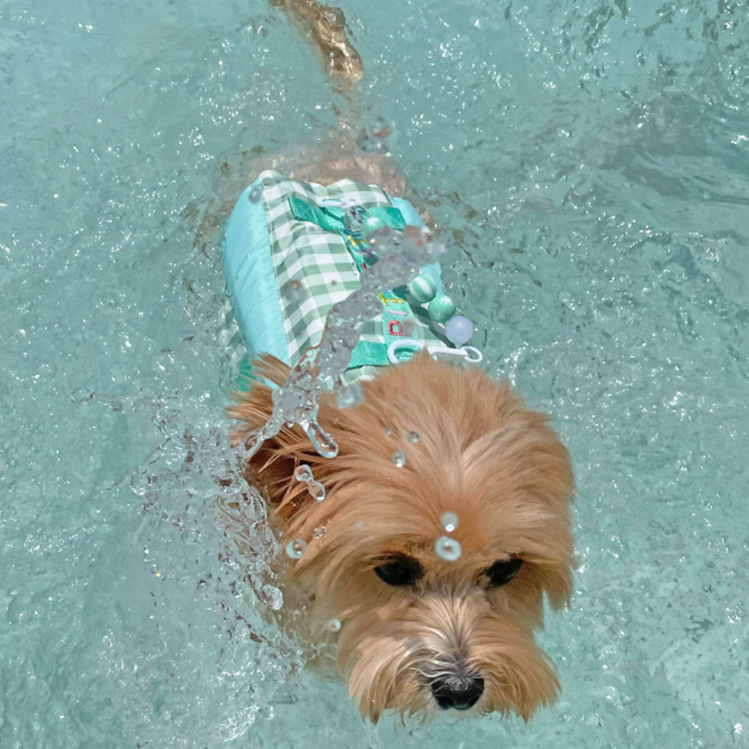 Lollipop Dog Life Jacket