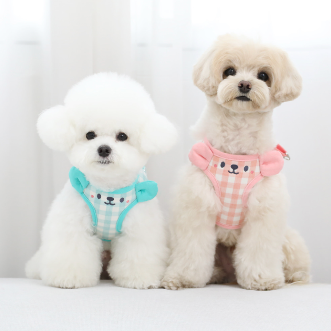 Smiley Teddy Bear Harness