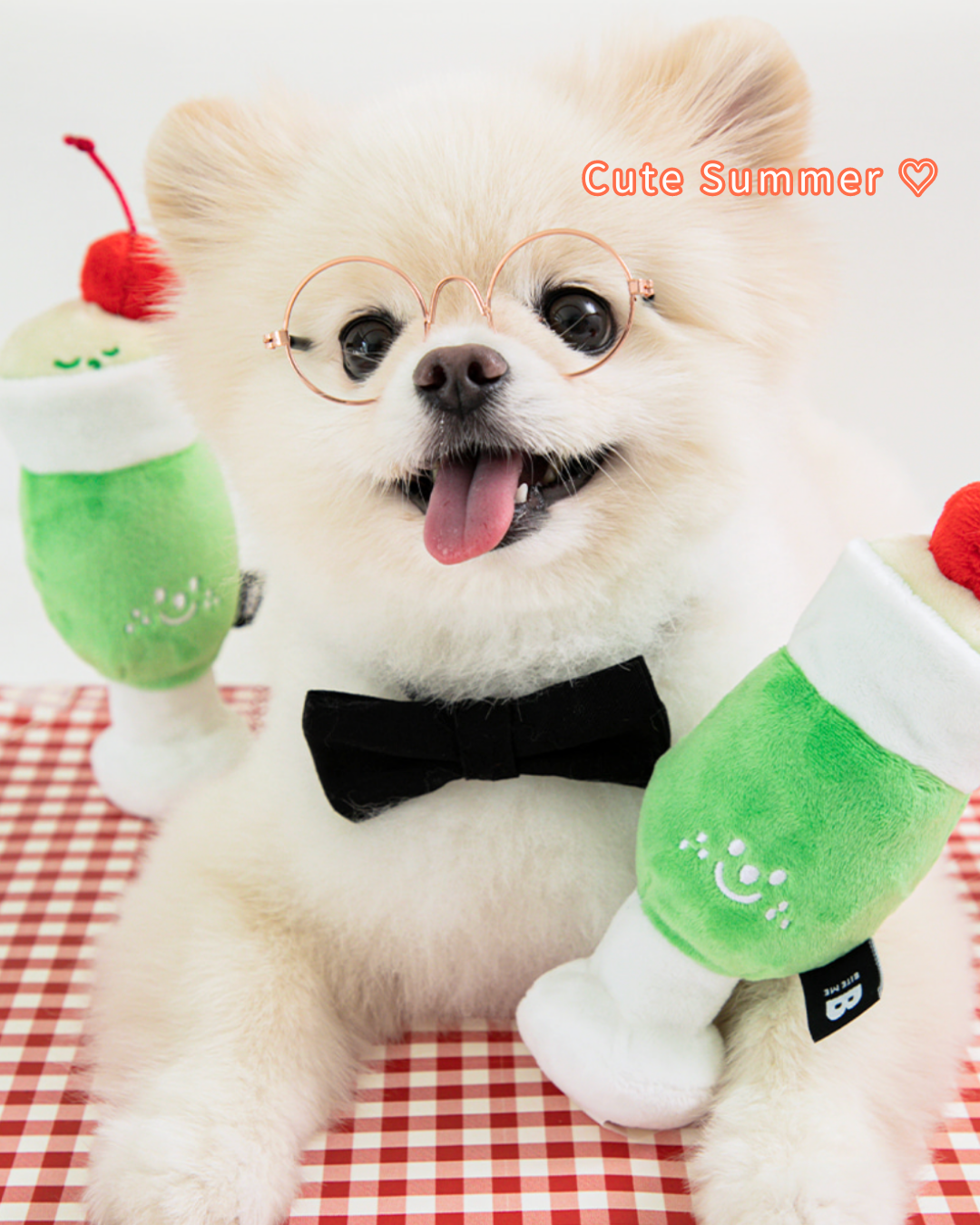 Melon Soda Nosework Toy