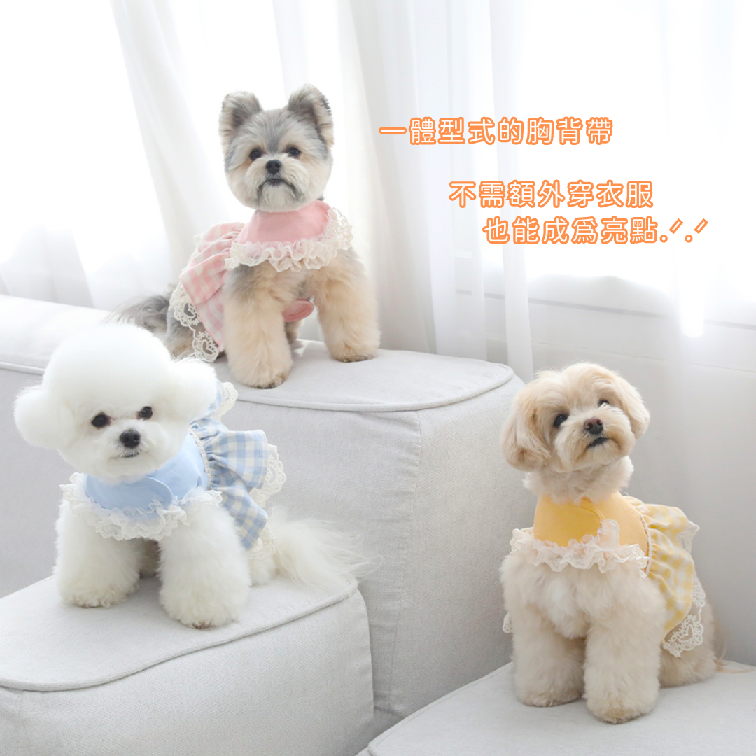 Checked lace harness