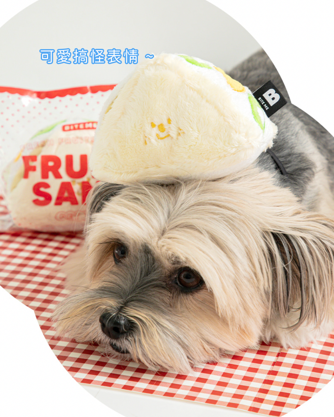 Fruit Sandwich Nosework Toy
