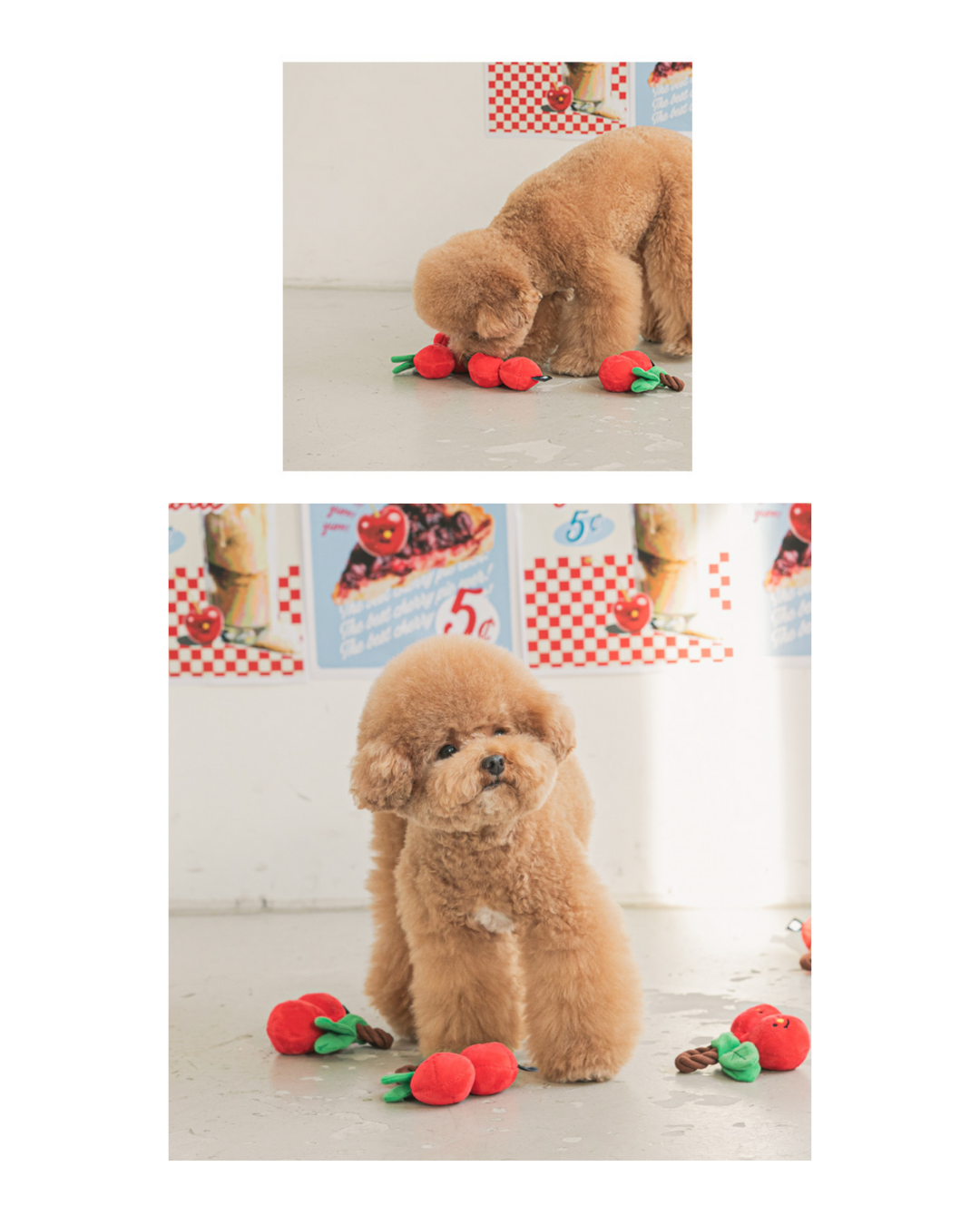Cherry Rope Pet Toy