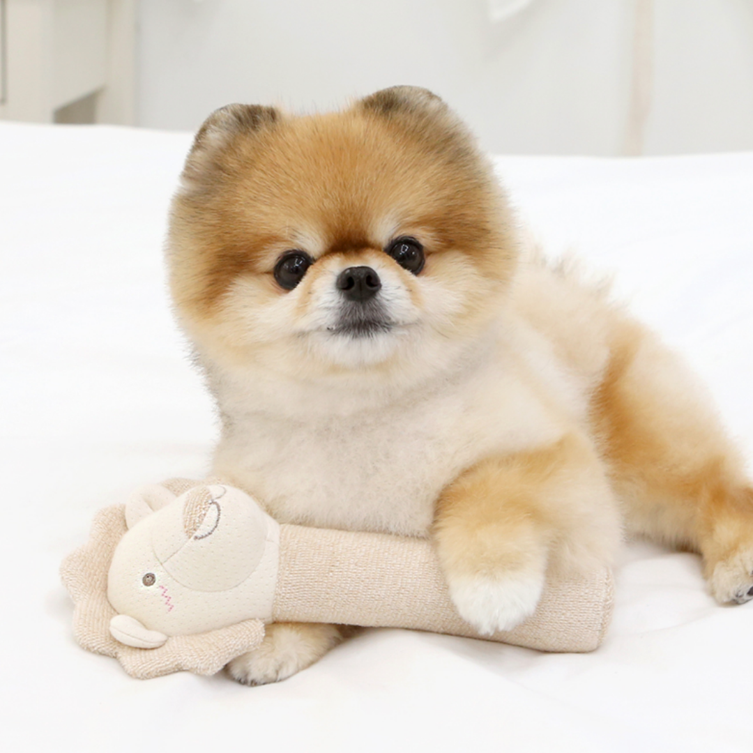 Organic 3-stage Sound Stick Pet Toy