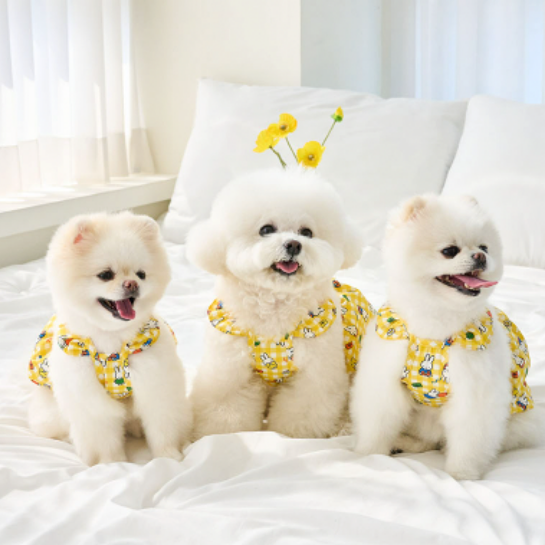 Miffy 夏日格紋泡泡裙