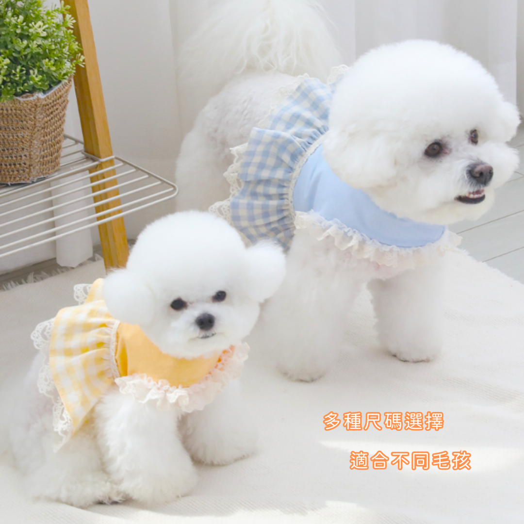 Checked lace harness