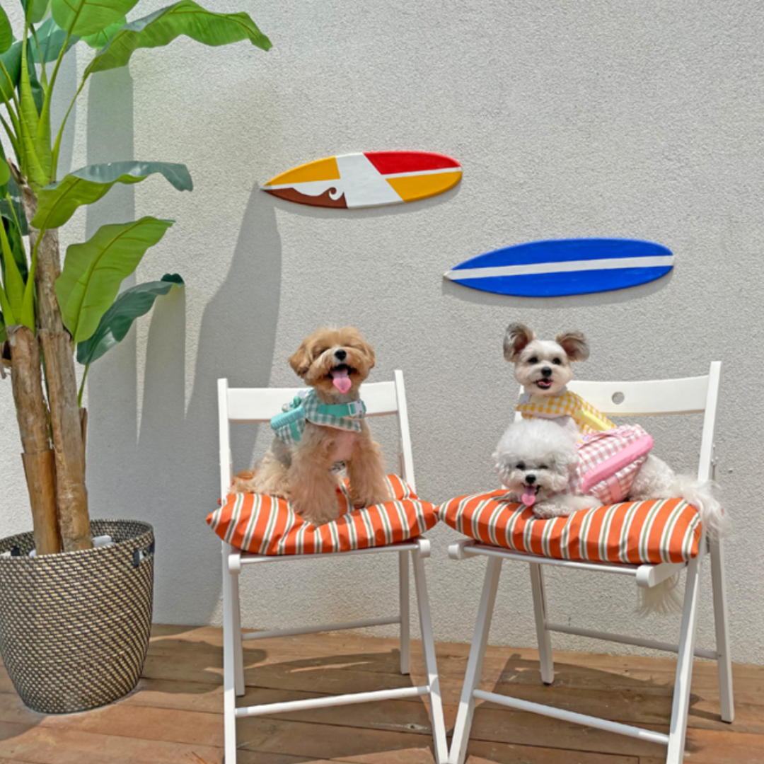 Lollipop Dog Life Jacket