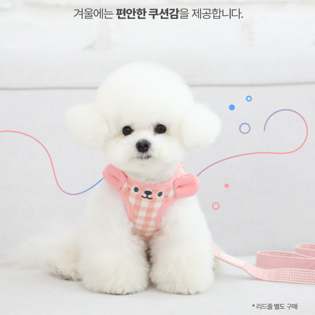 Smiley Teddy Bear Harness