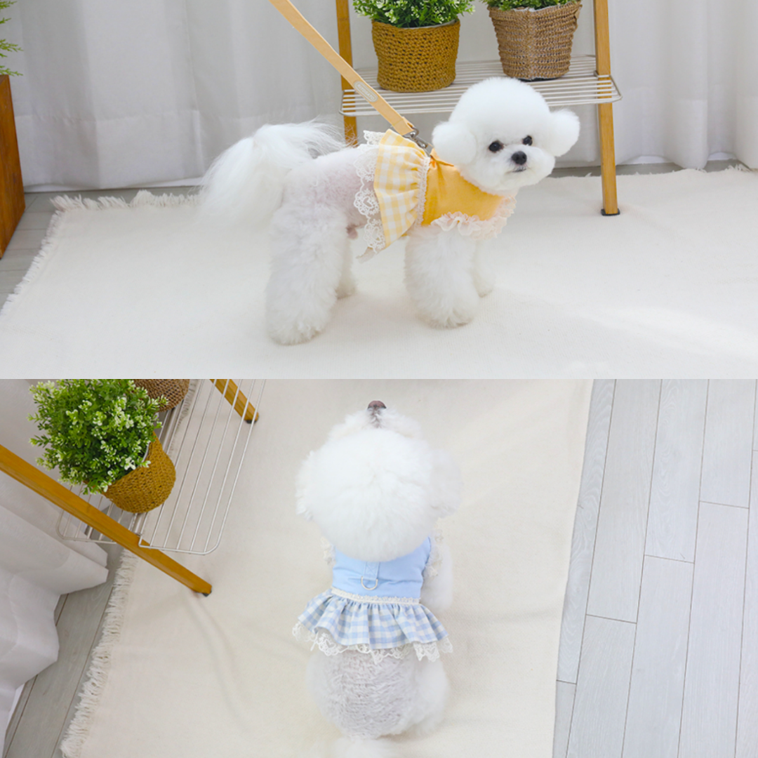 Checked lace harness