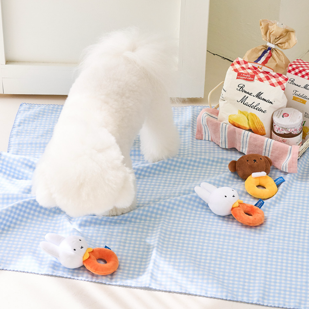 Miffy & Boris Pet Toy