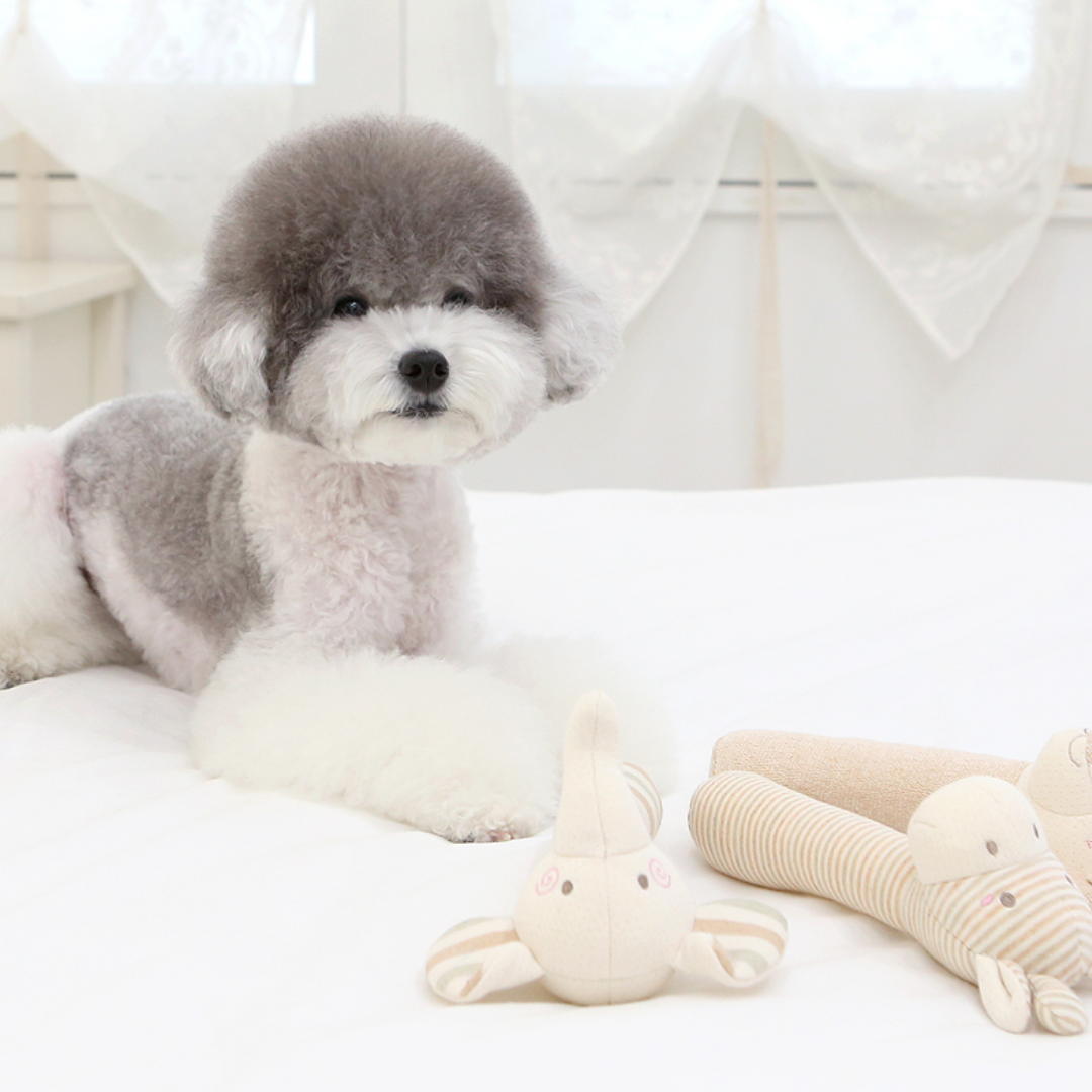 Organic 3-stage Sound Stick Pet Toy