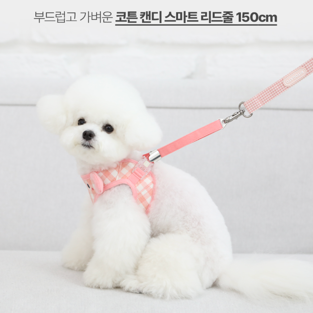 Smiley Teddy Bear Harness