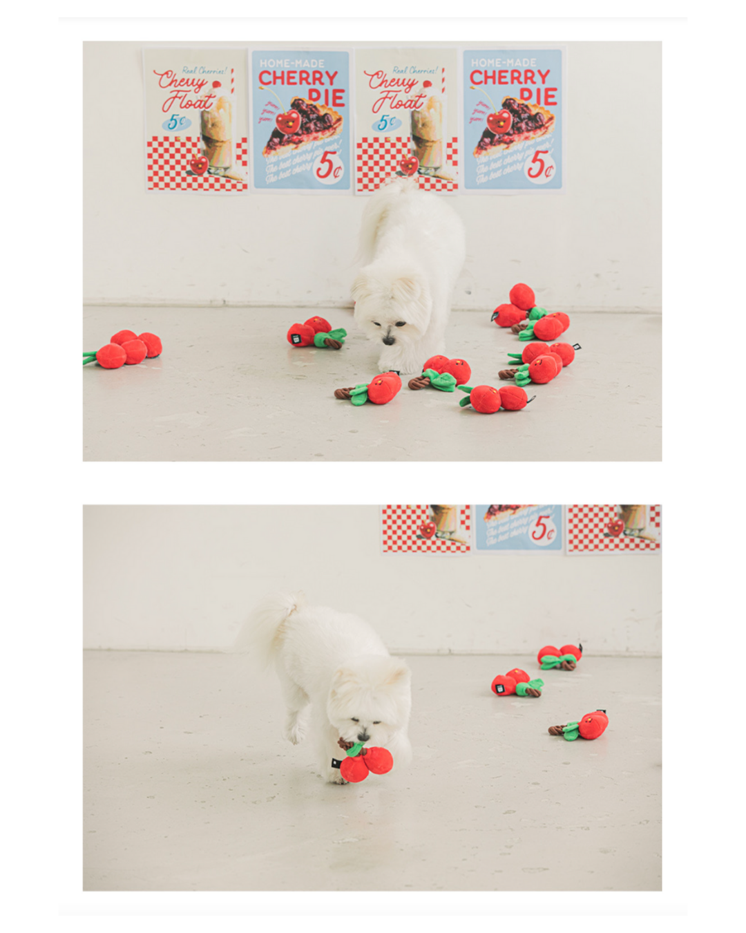 Cherry Rope Pet Toy