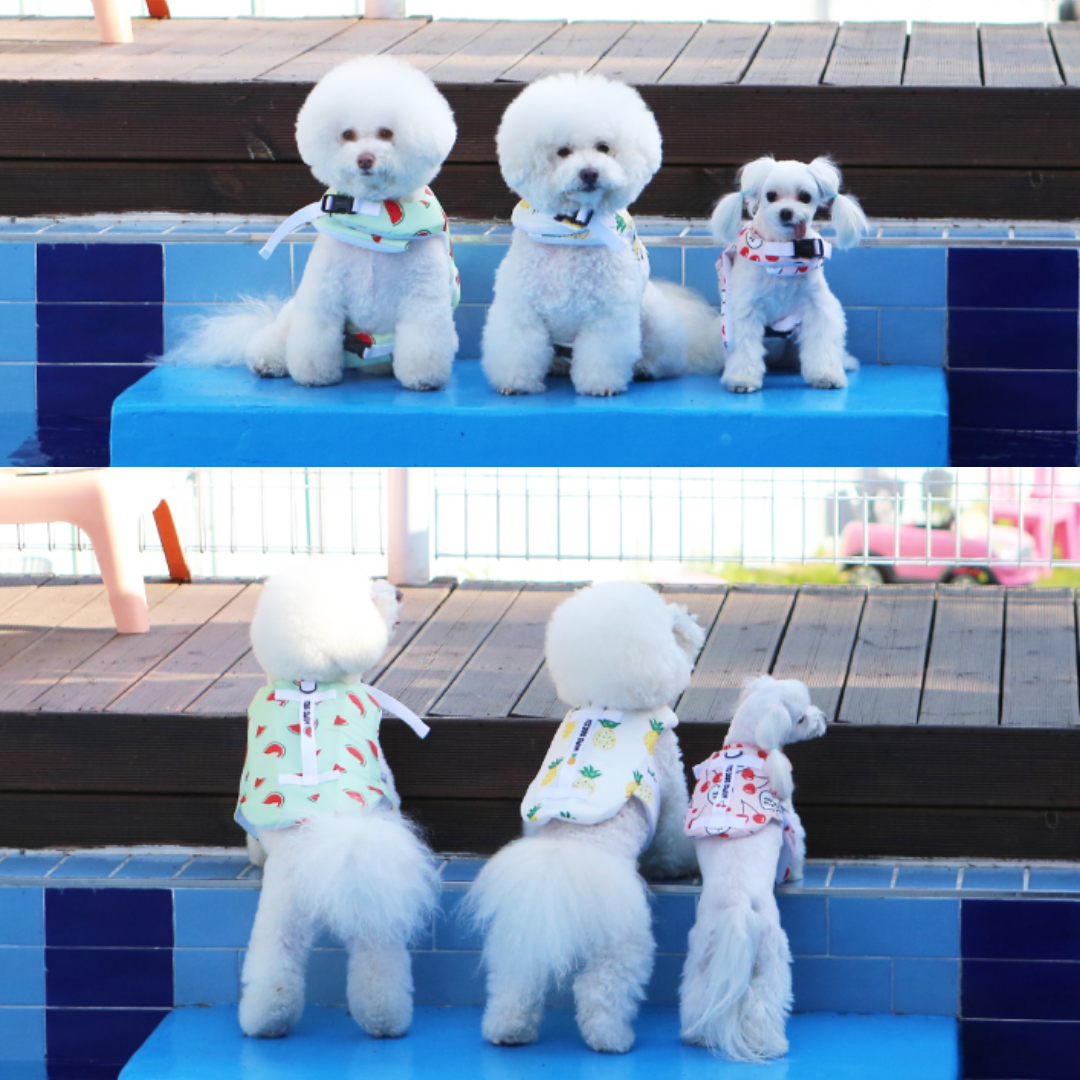Summer Fruit Pet Life Jacket