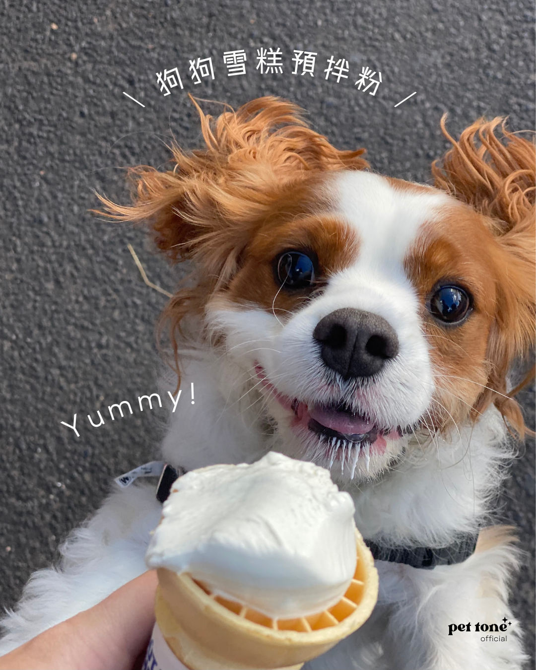 Ice Cream Mix Pack Dog Treat