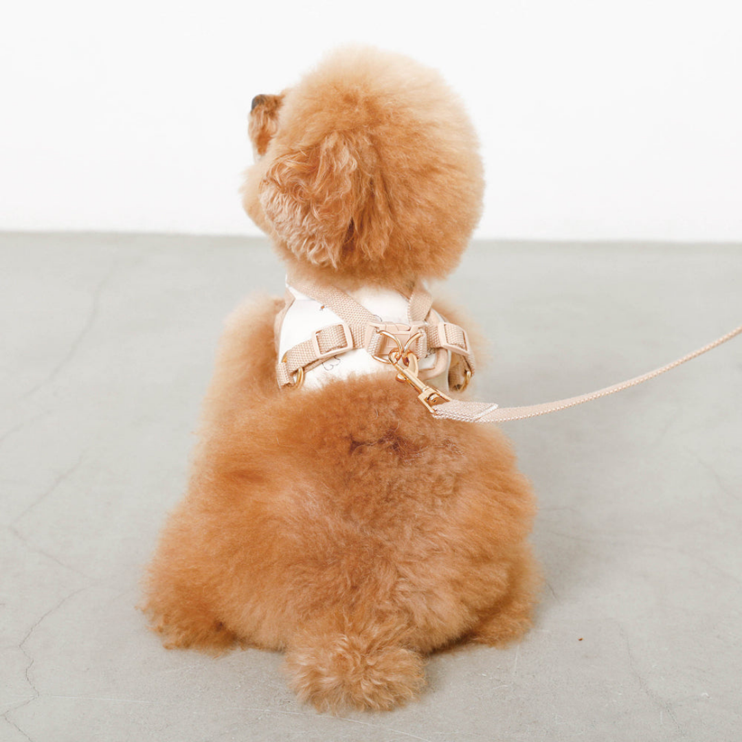 Japanese Illustrator Collaboration Series - Floral Puppy Harness (with leashes)