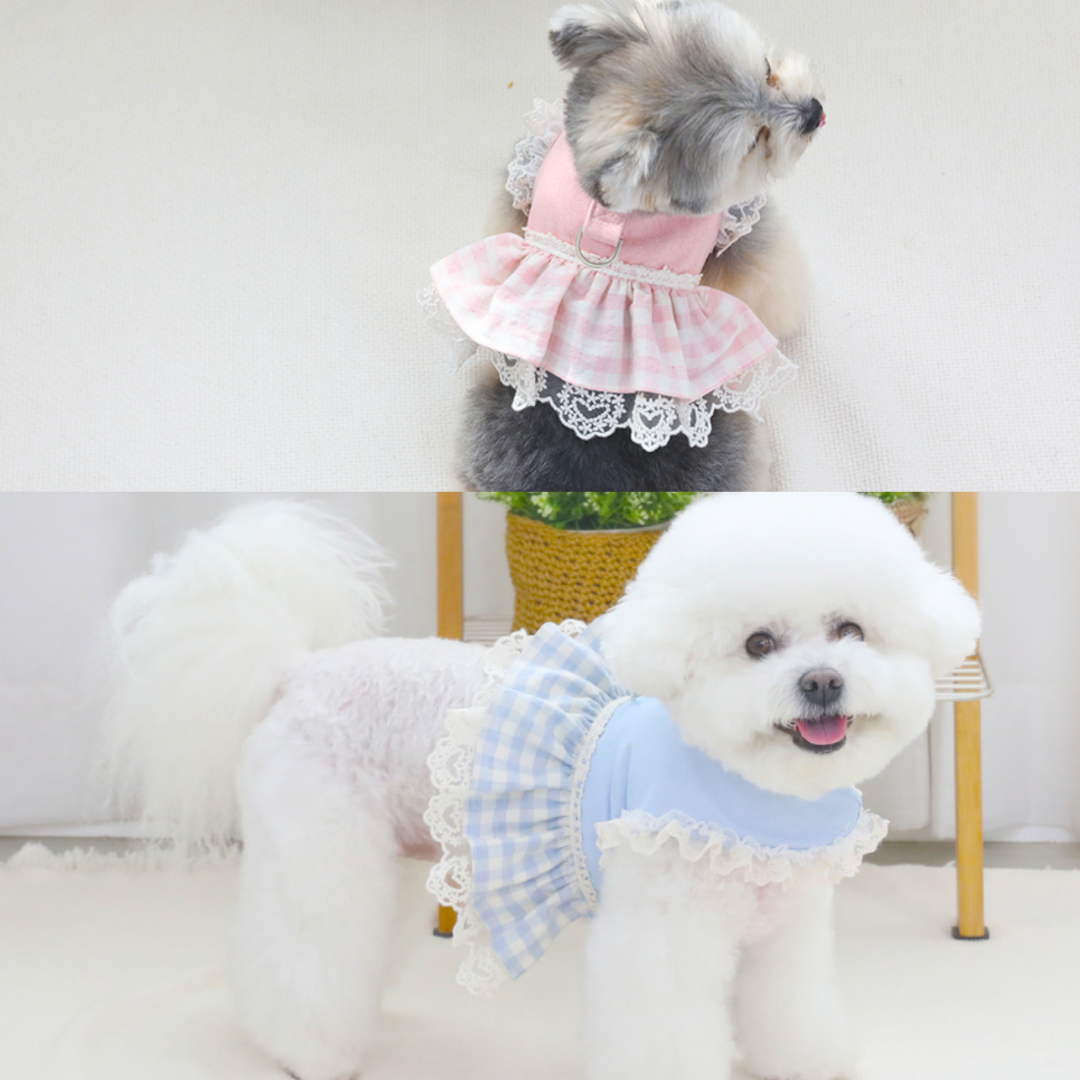 Checked lace harness