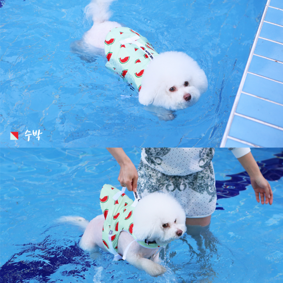 Summer Fruit Pet Life Jacket